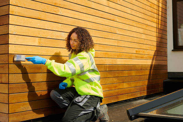 Best Steel Siding Installation  in Providence, KY
